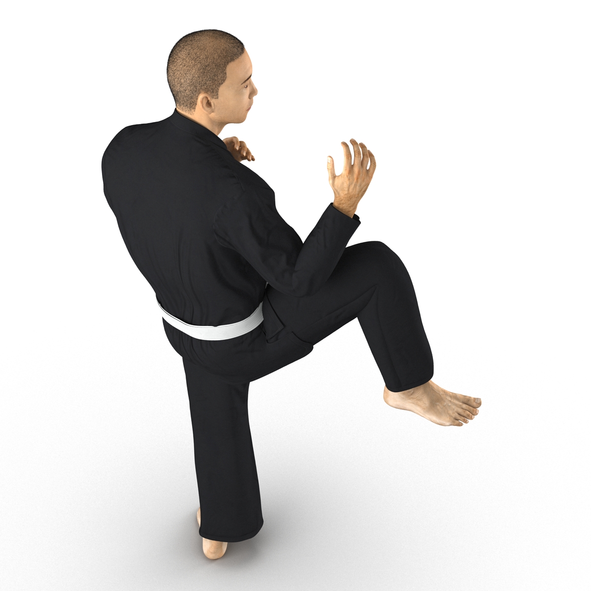 3D model Japanese Karate Fighter Black Suit Pose 3 with Fur