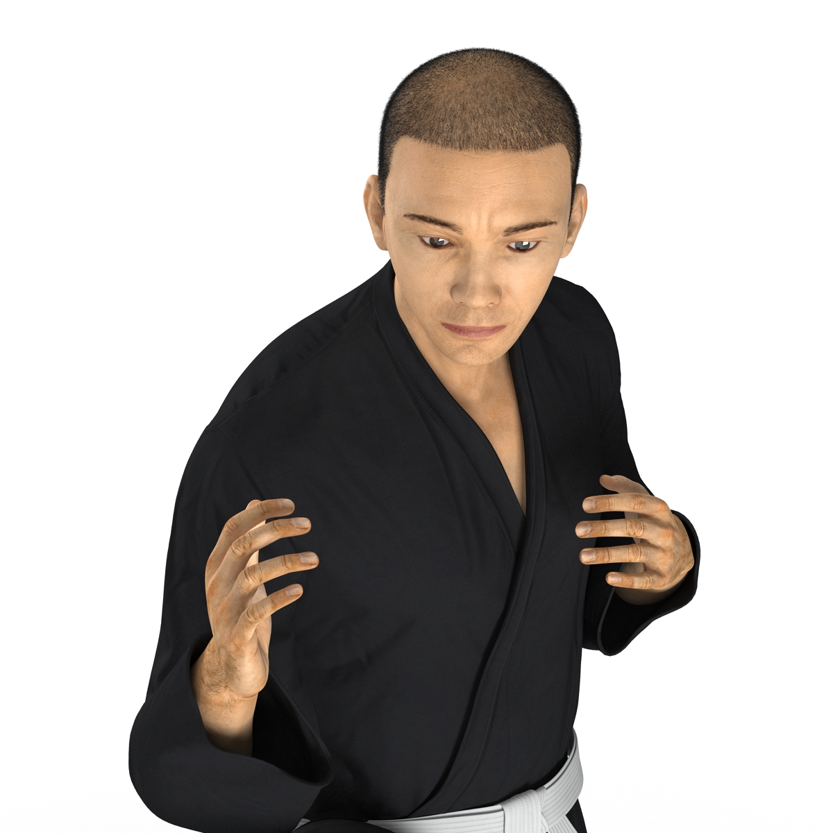 3D model Japanese Karate Fighter Black Suit Pose 3 with Fur