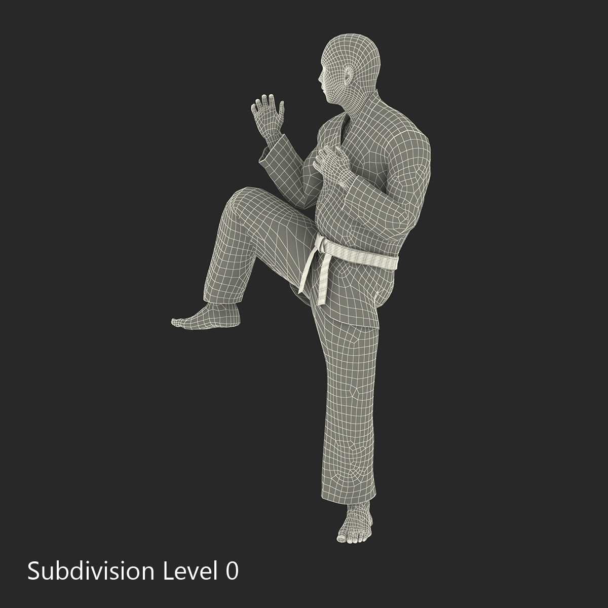 3D model Japanese Karate Fighter Black Suit Pose 3 with Fur