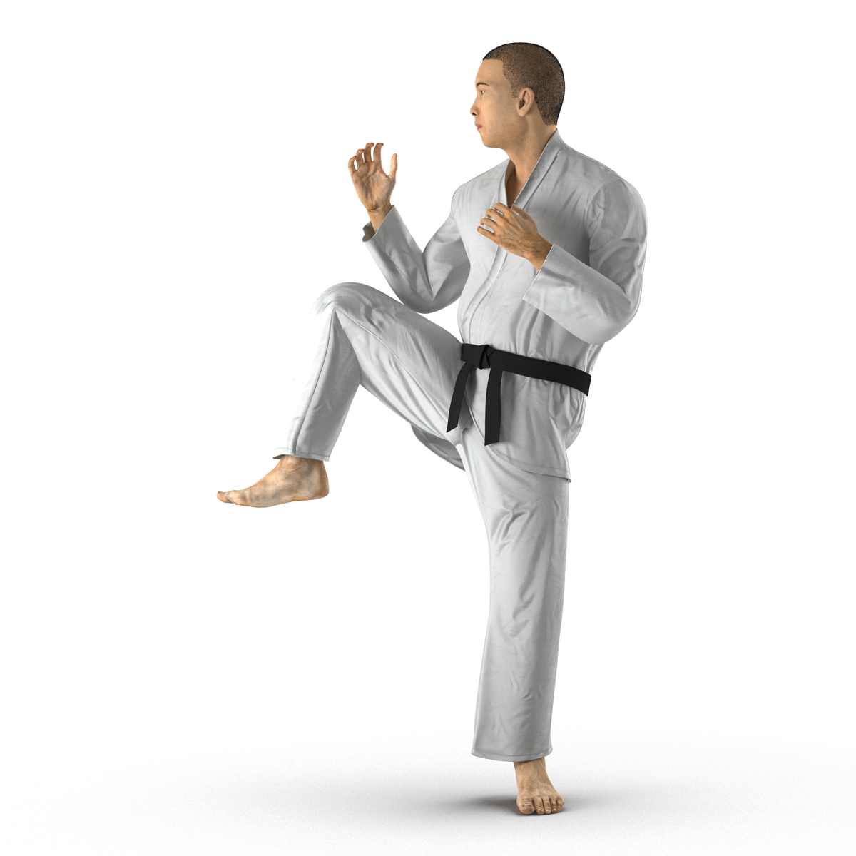 Japanese Karate Fighter Pose 3 with Fur 3D model