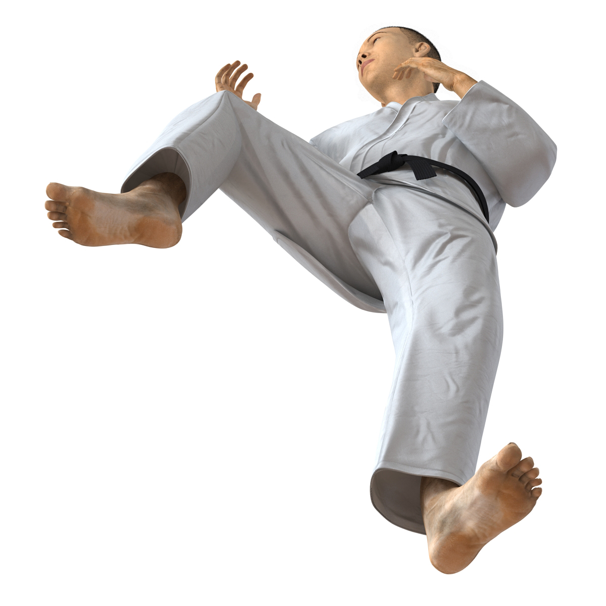 Japanese Karate Fighter Pose 3 with Fur 3D model