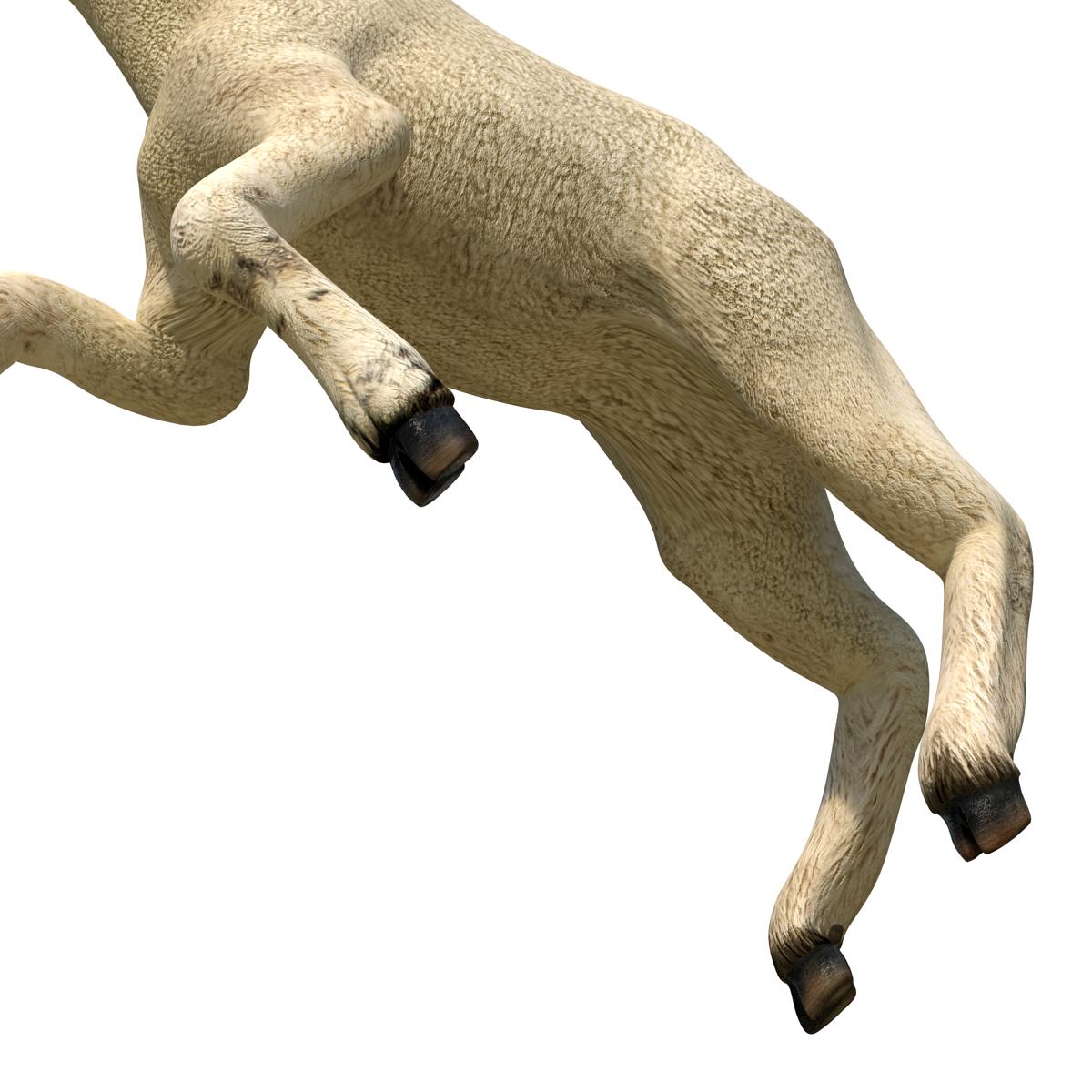 3D Lamb Pose 3