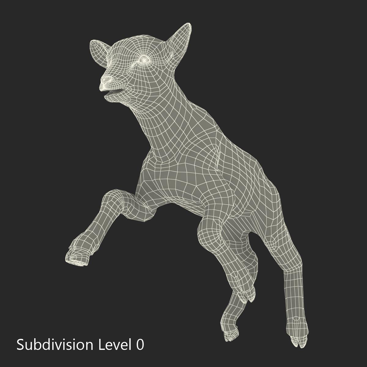 3D Lamb Pose 3