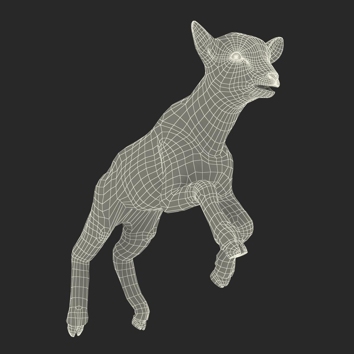 3D Lamb Pose 3