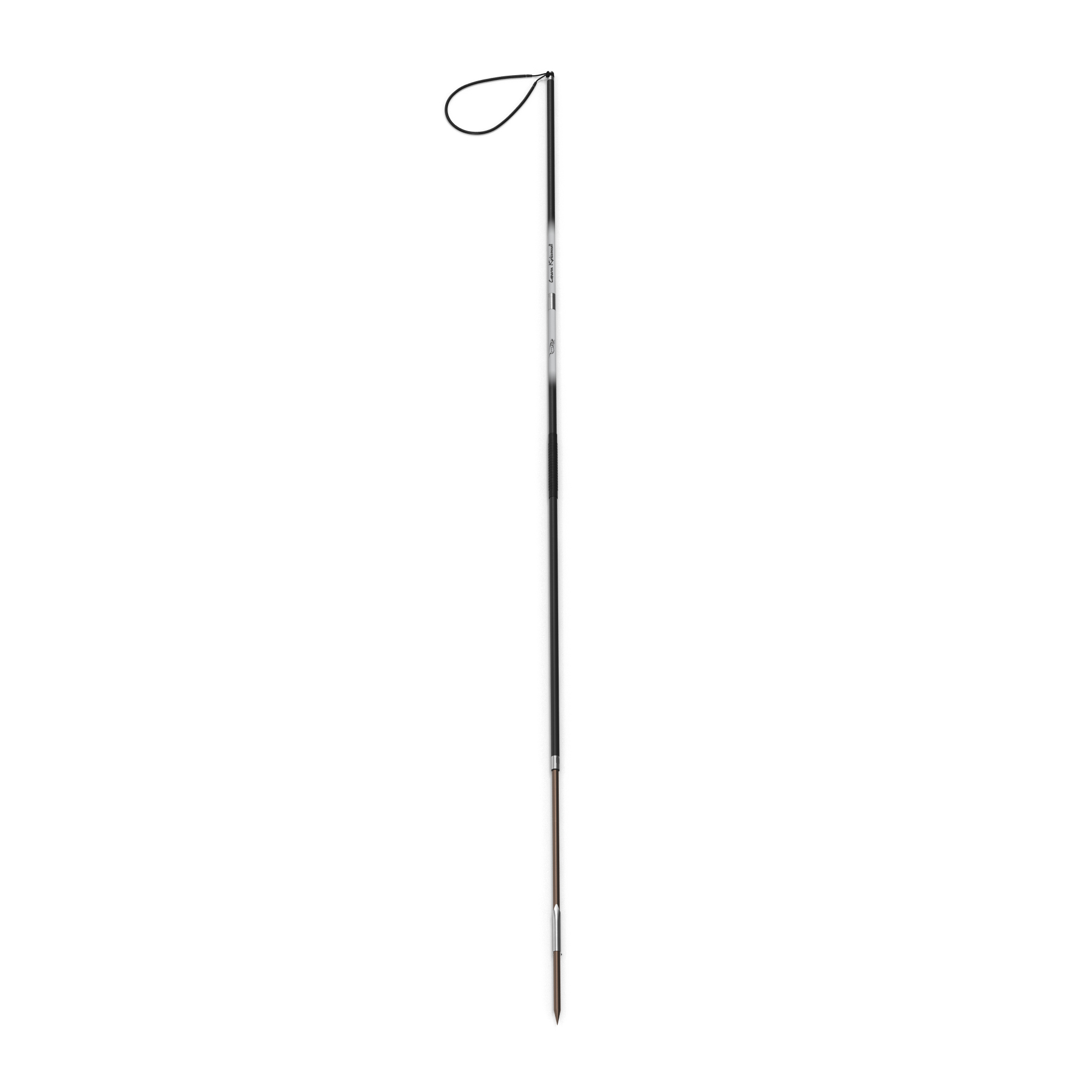 3D Underwater Pole Spear