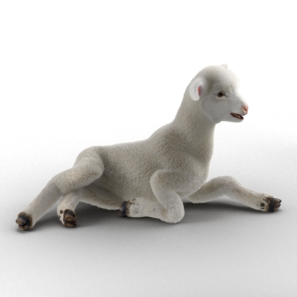 3D model Lamb Rigged with Fur