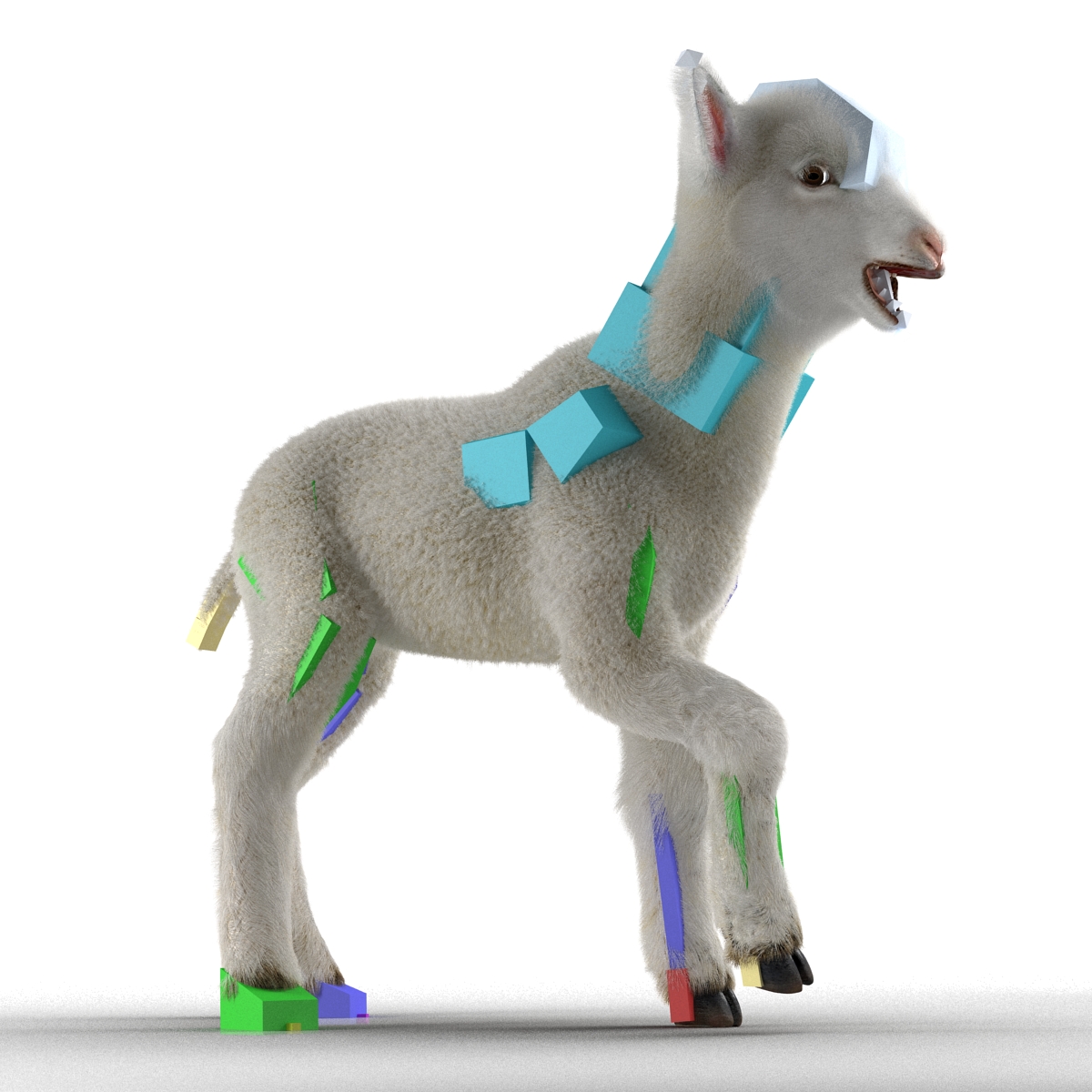 3D model Lamb Rigged with Fur