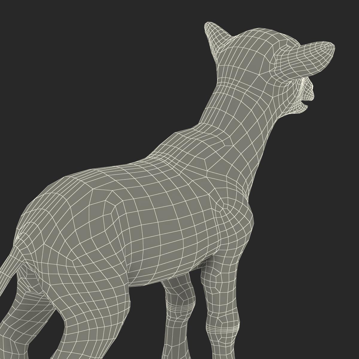 3D model Lamb Rigged with Fur