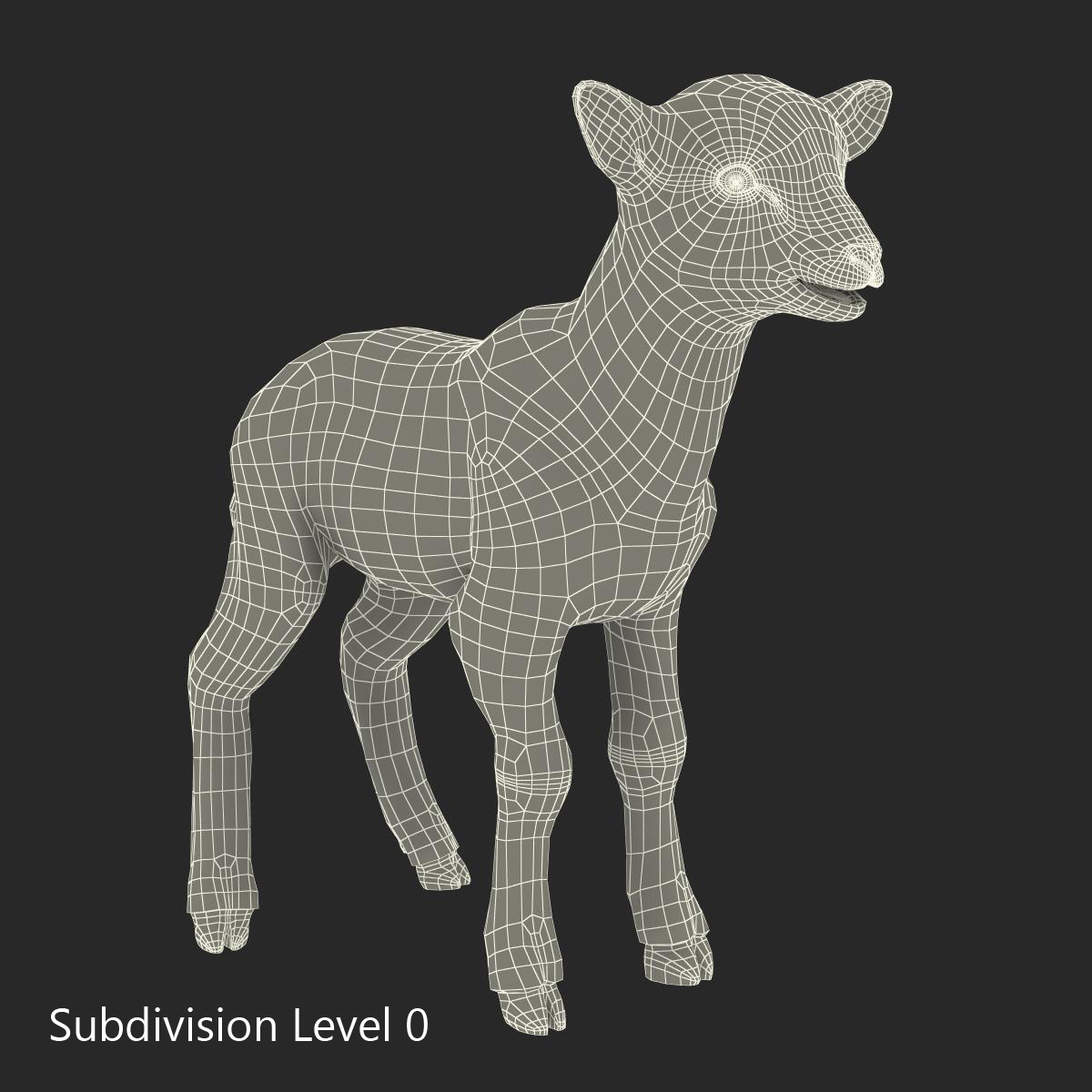 3D Lamb with Fur model