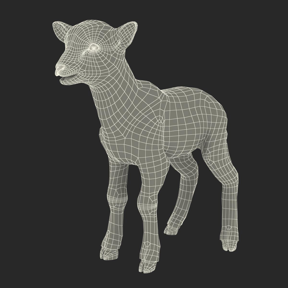 3D Lamb with Fur model