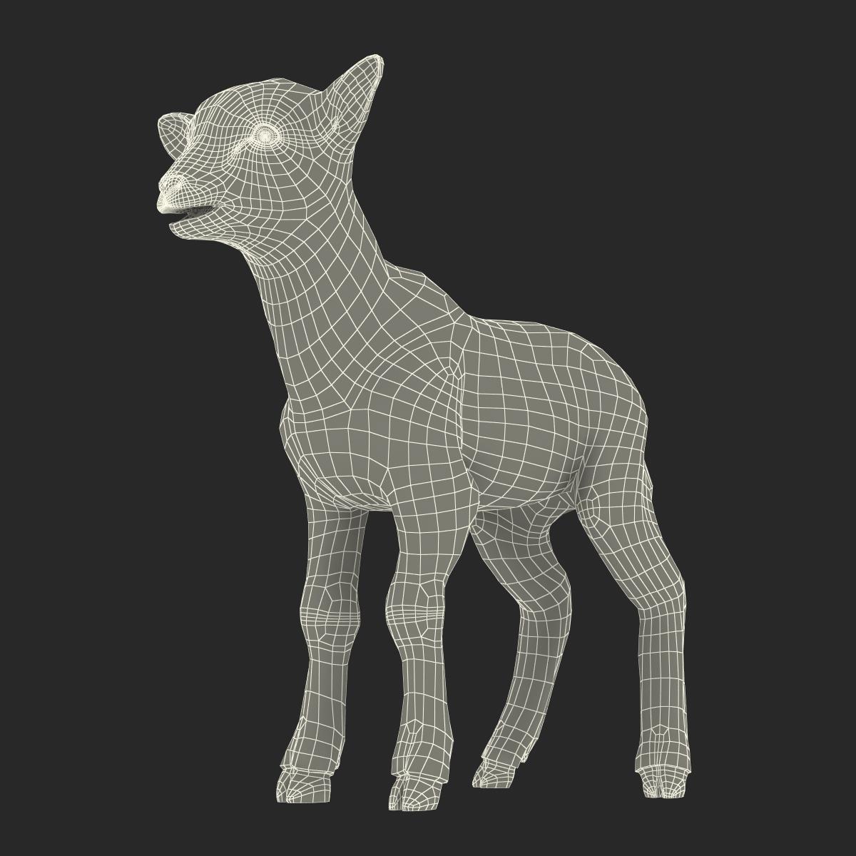 3D Lamb with Fur model