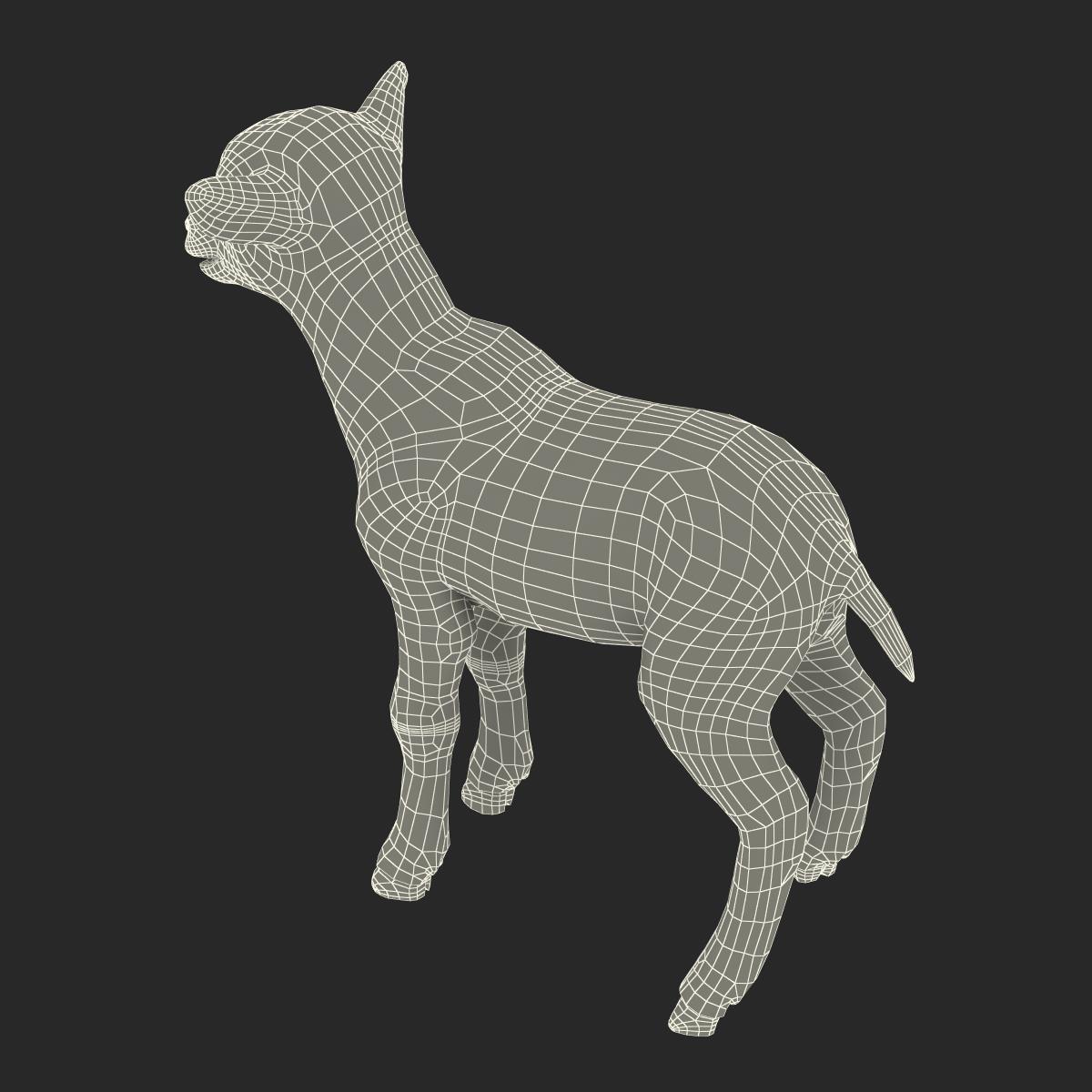 3D Lamb with Fur model