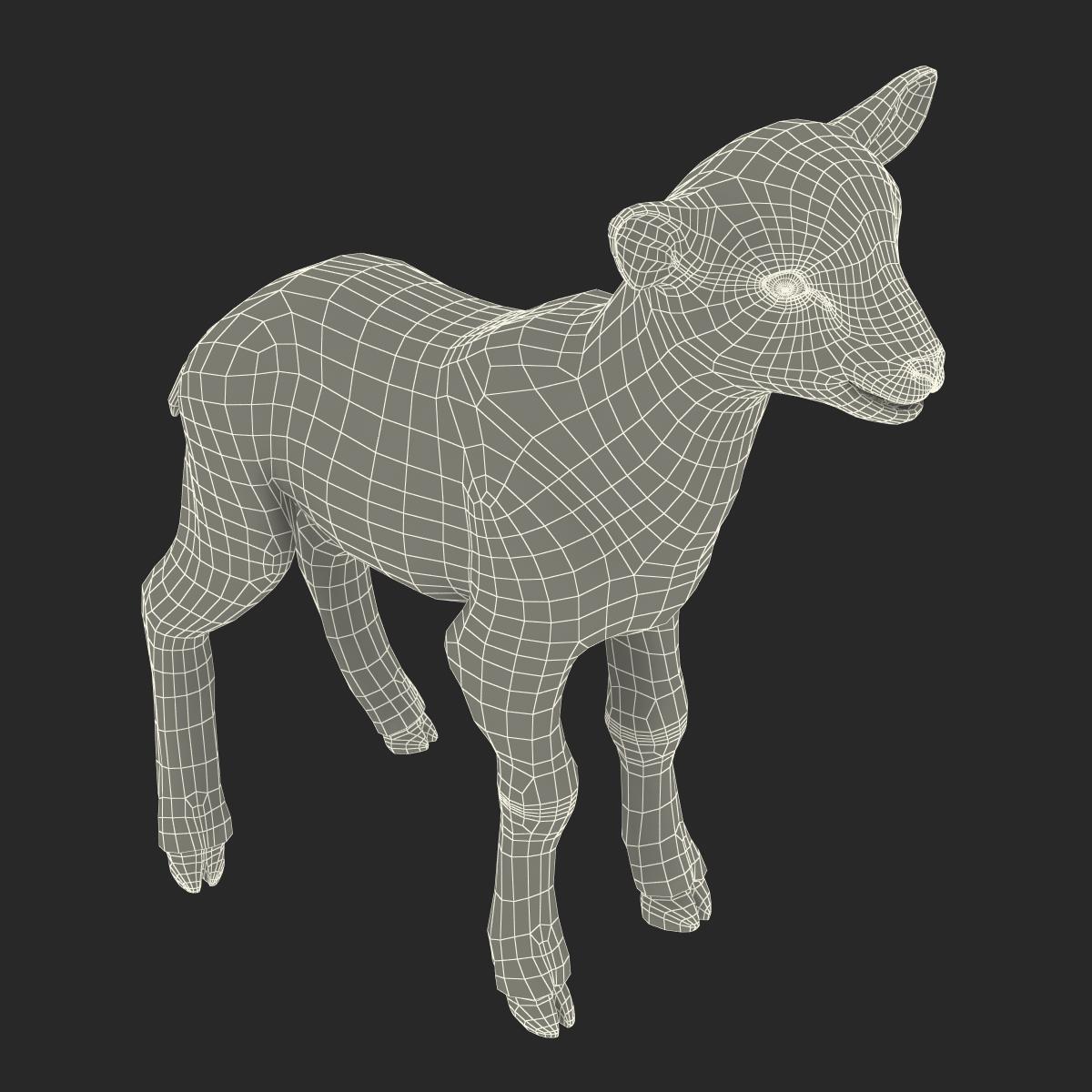 3D Lamb with Fur model