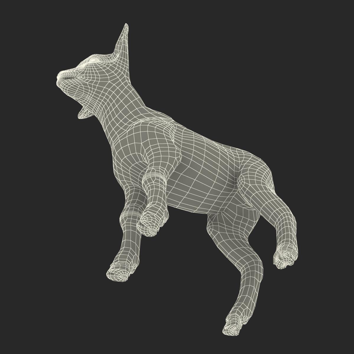 3D Lamb with Fur model