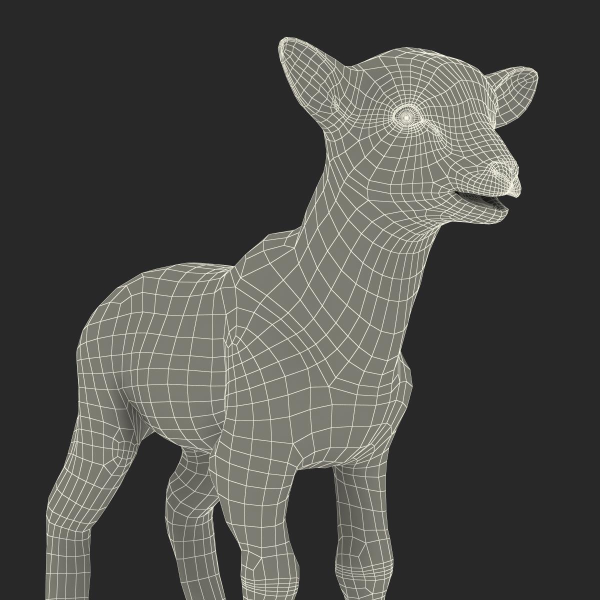 3D Lamb with Fur model