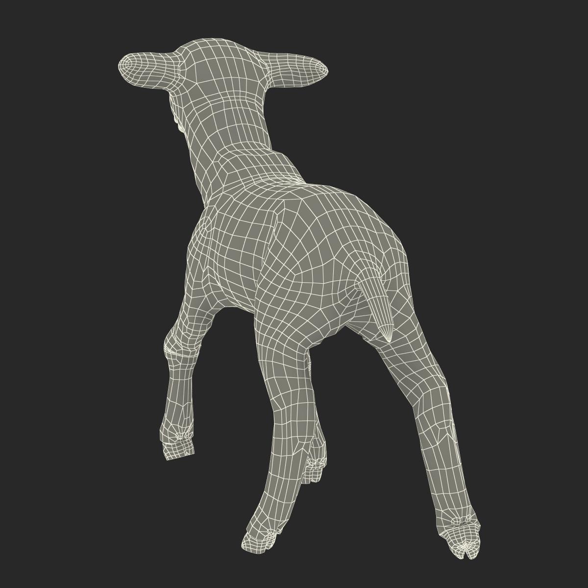 3D model Lamb Pose 2 with Fur