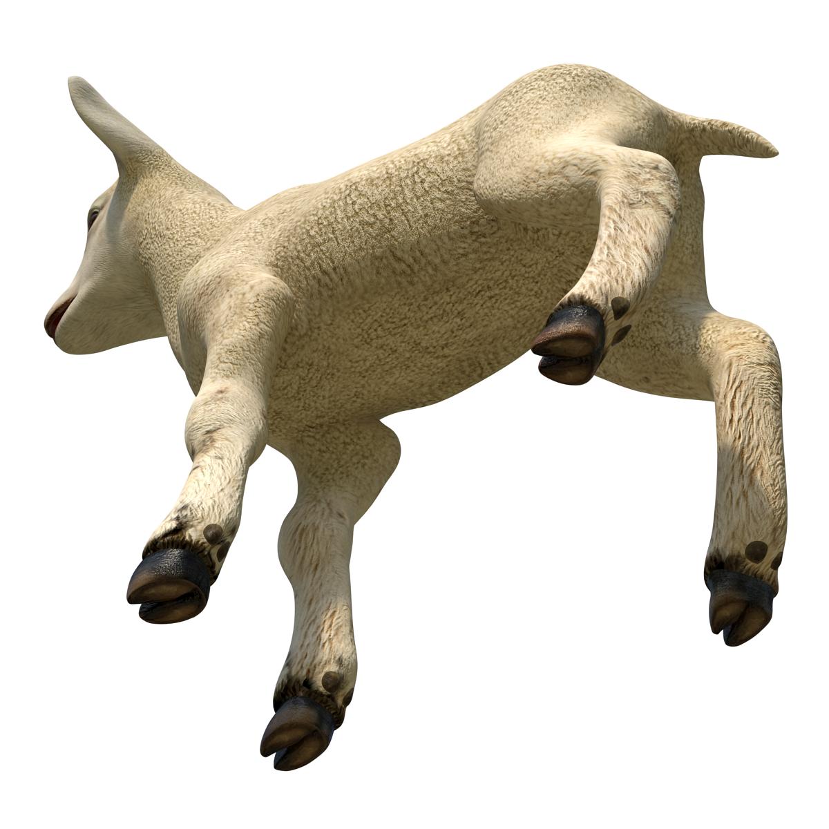 3D Lamb Rigged