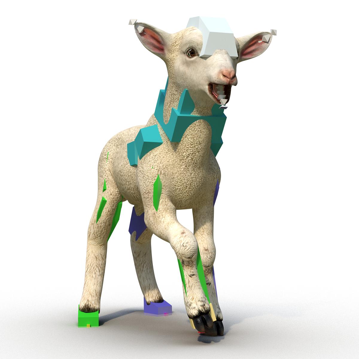 3D Lamb Rigged