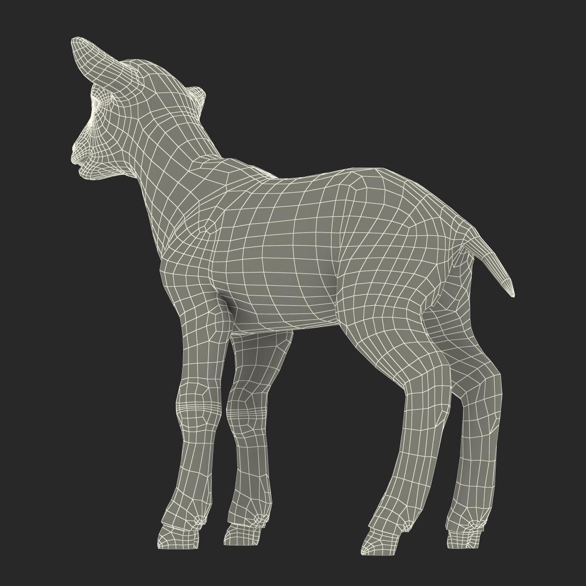 3D Lamb Rigged