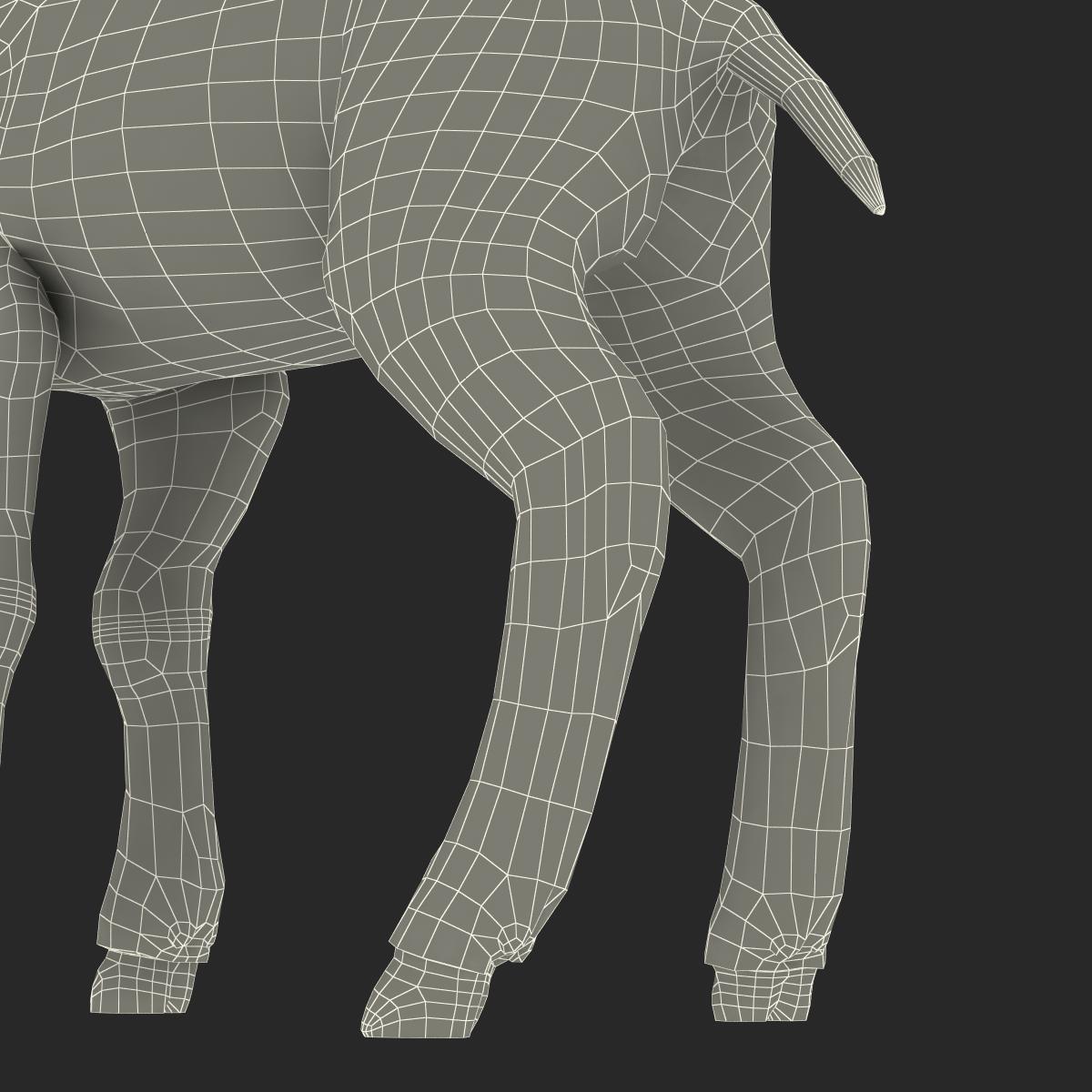 3D Lamb Rigged