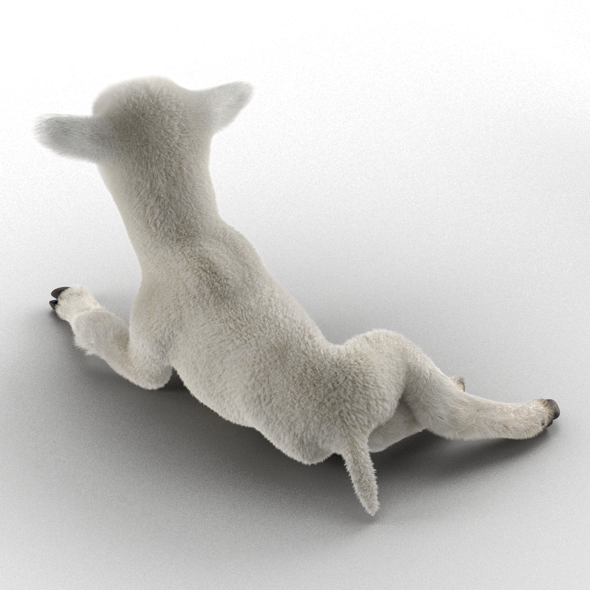 3D model Lamb Pose 4 with Fur