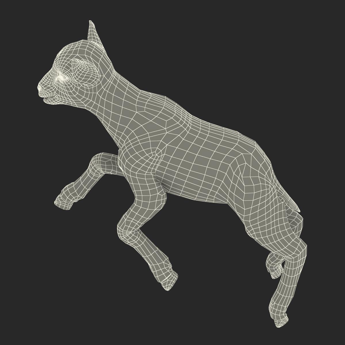 3D model Lamb Pose 3 with Fur