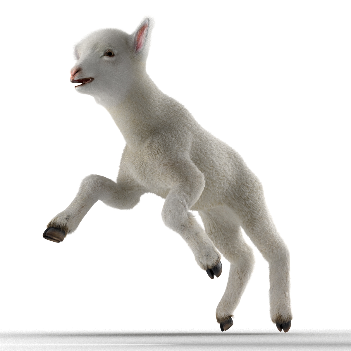 3D model Lamb Pose 3 with Fur