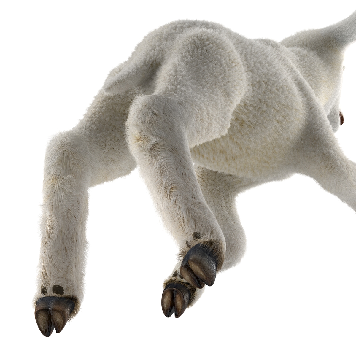 3D model Lamb Pose 3 with Fur