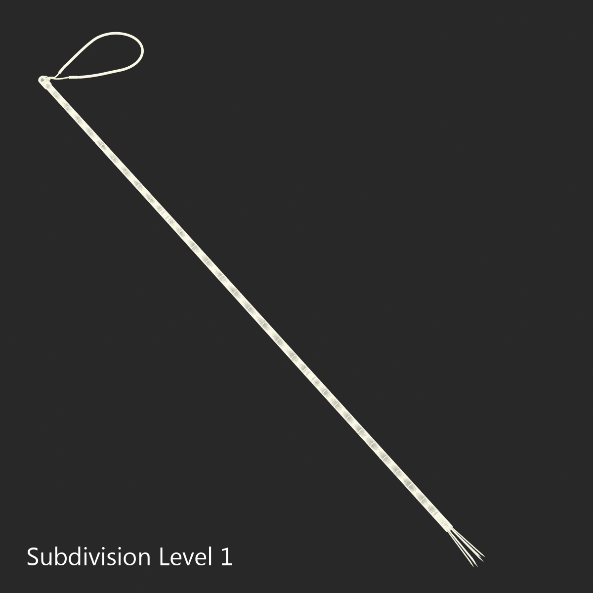 3D Underwater Pole Spear 3 model