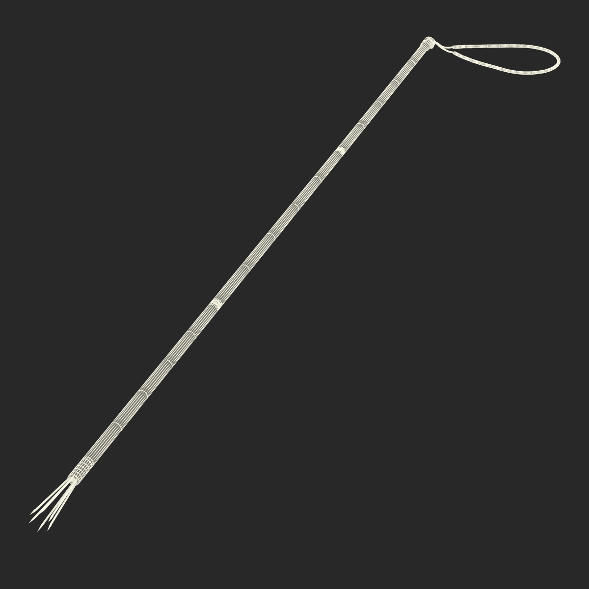 3D Underwater Pole Spear 3 model