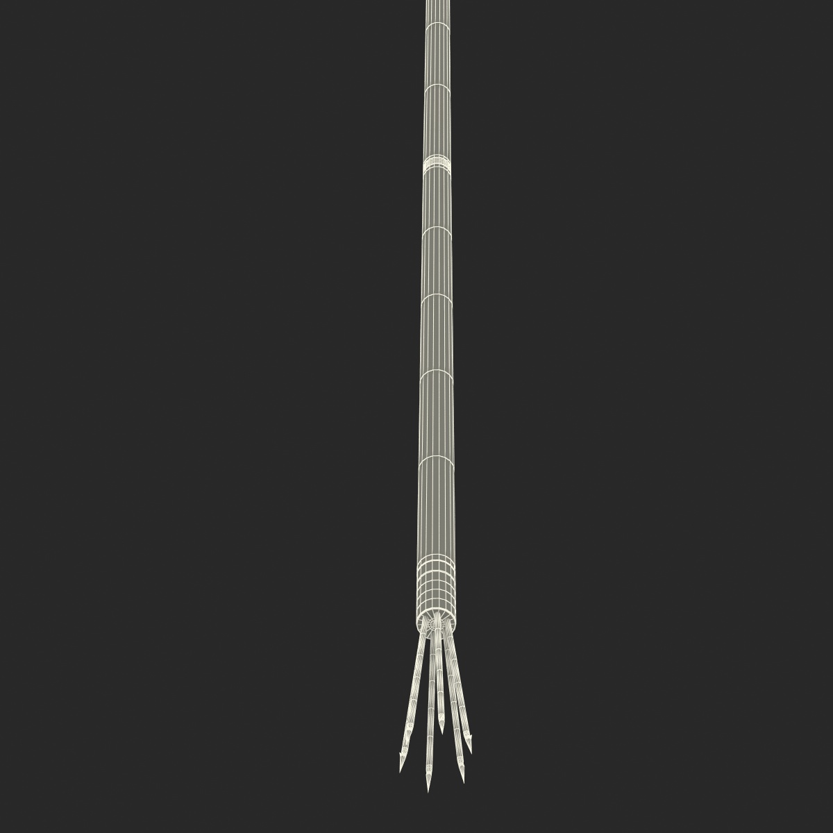 3D Underwater Pole Spear 3 model