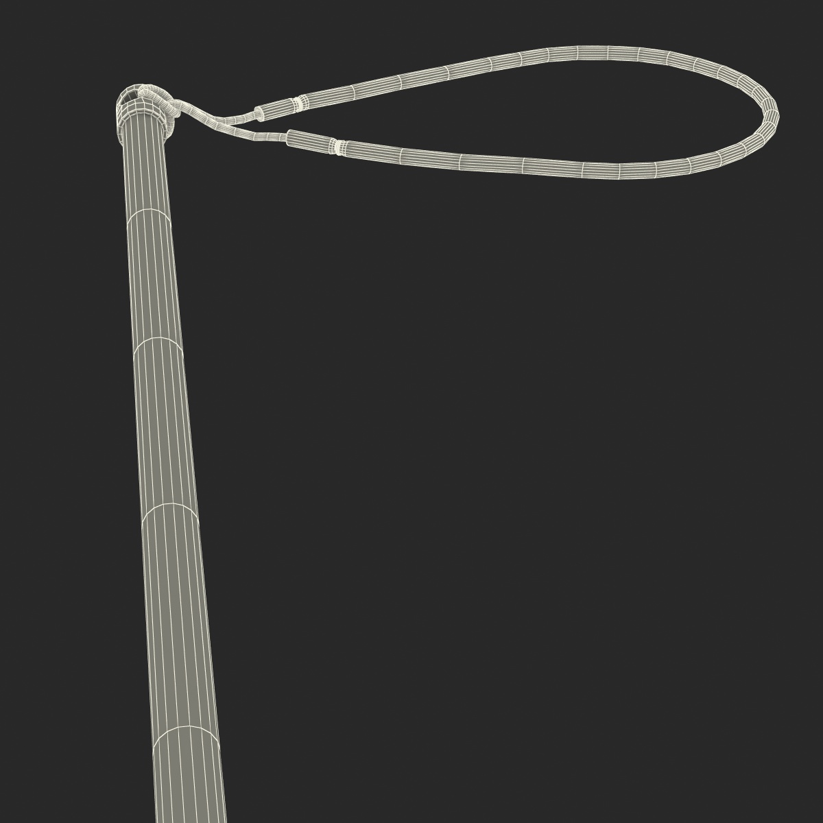 3D Underwater Pole Spear 3 model