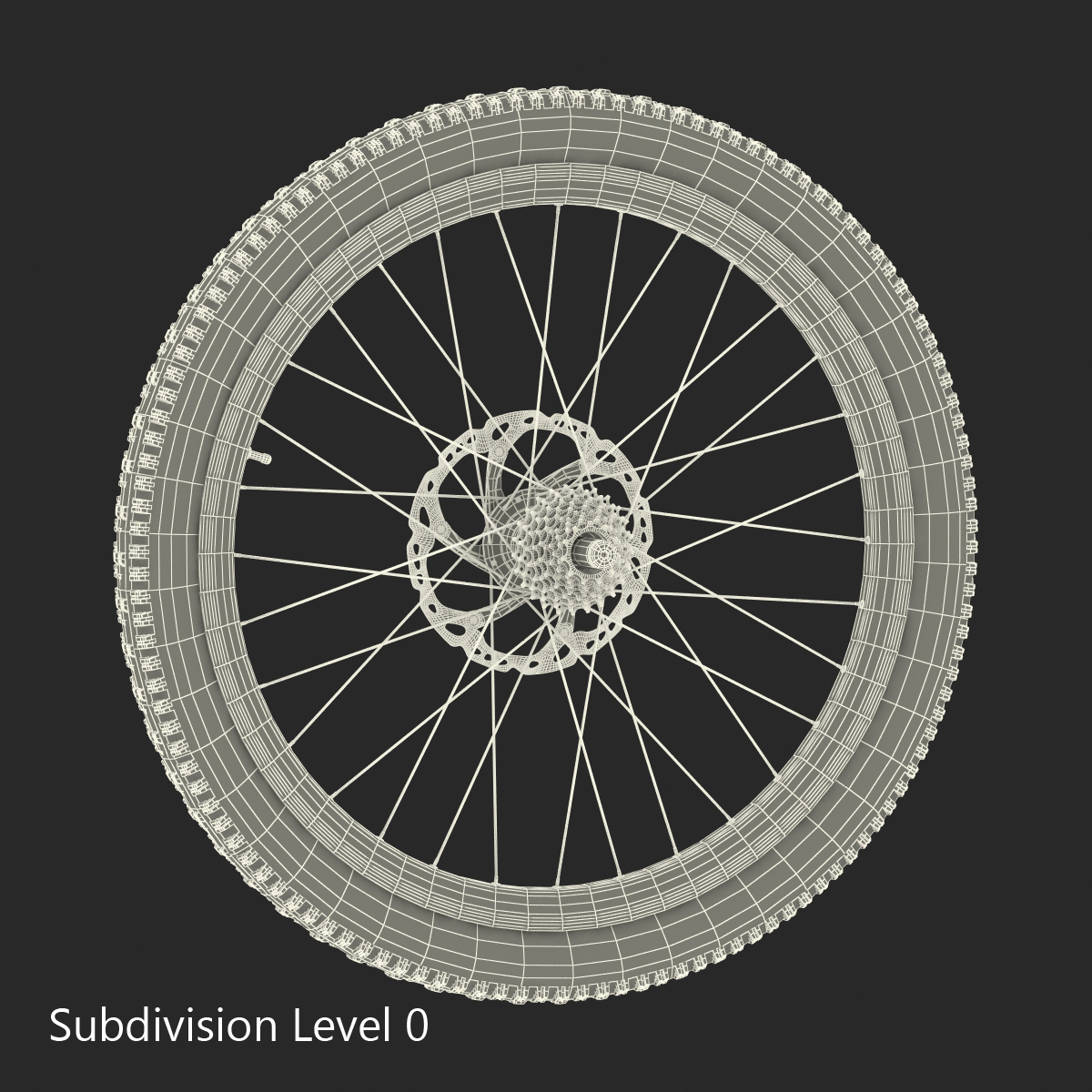 3D Bicycle Back Wheel model