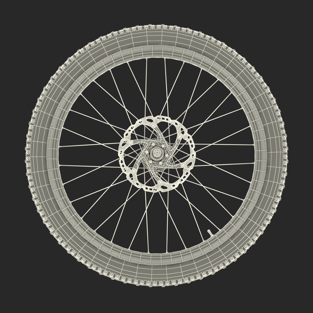 Bicycle Front Wheel 3D model