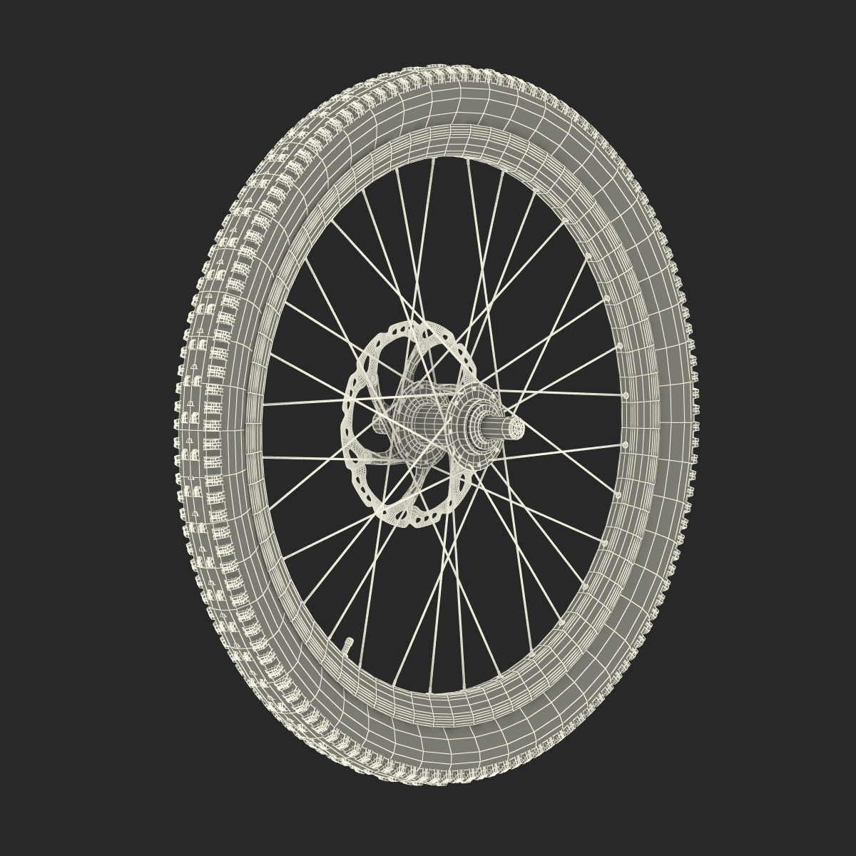 Bicycle Front Wheel 3D model