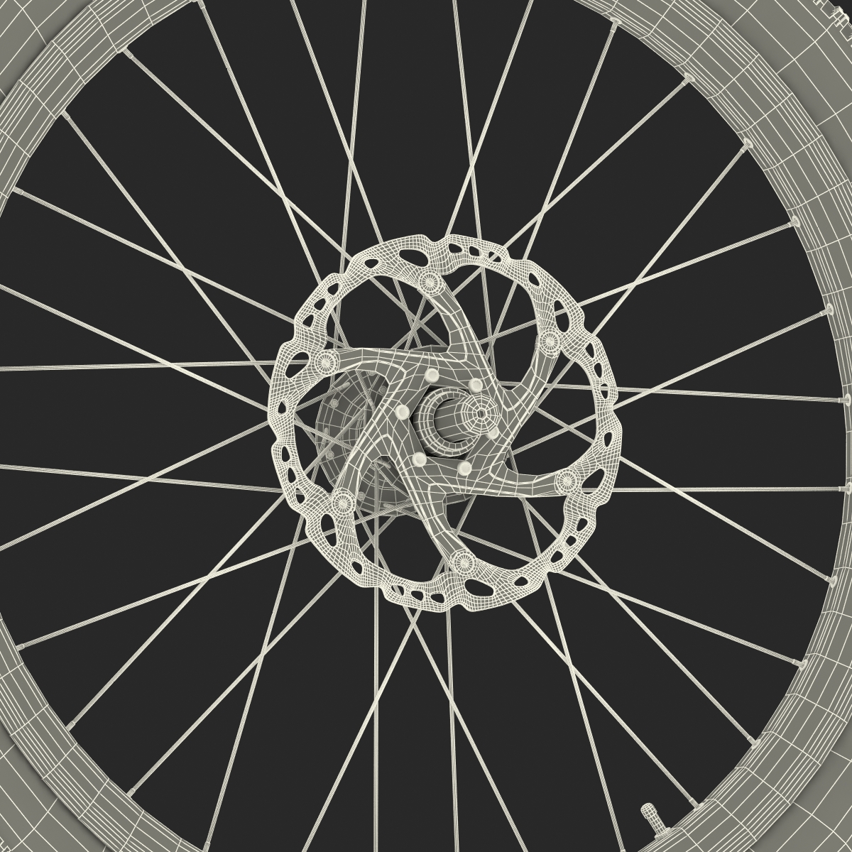 Bicycle Front Wheel 3D model