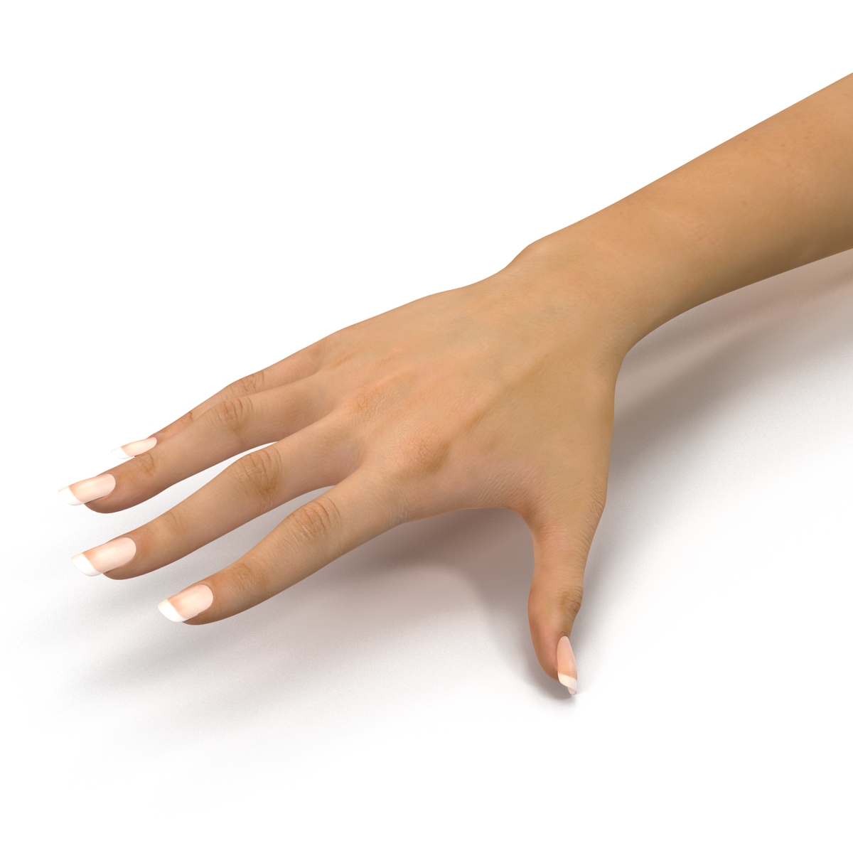 3D Female Hand