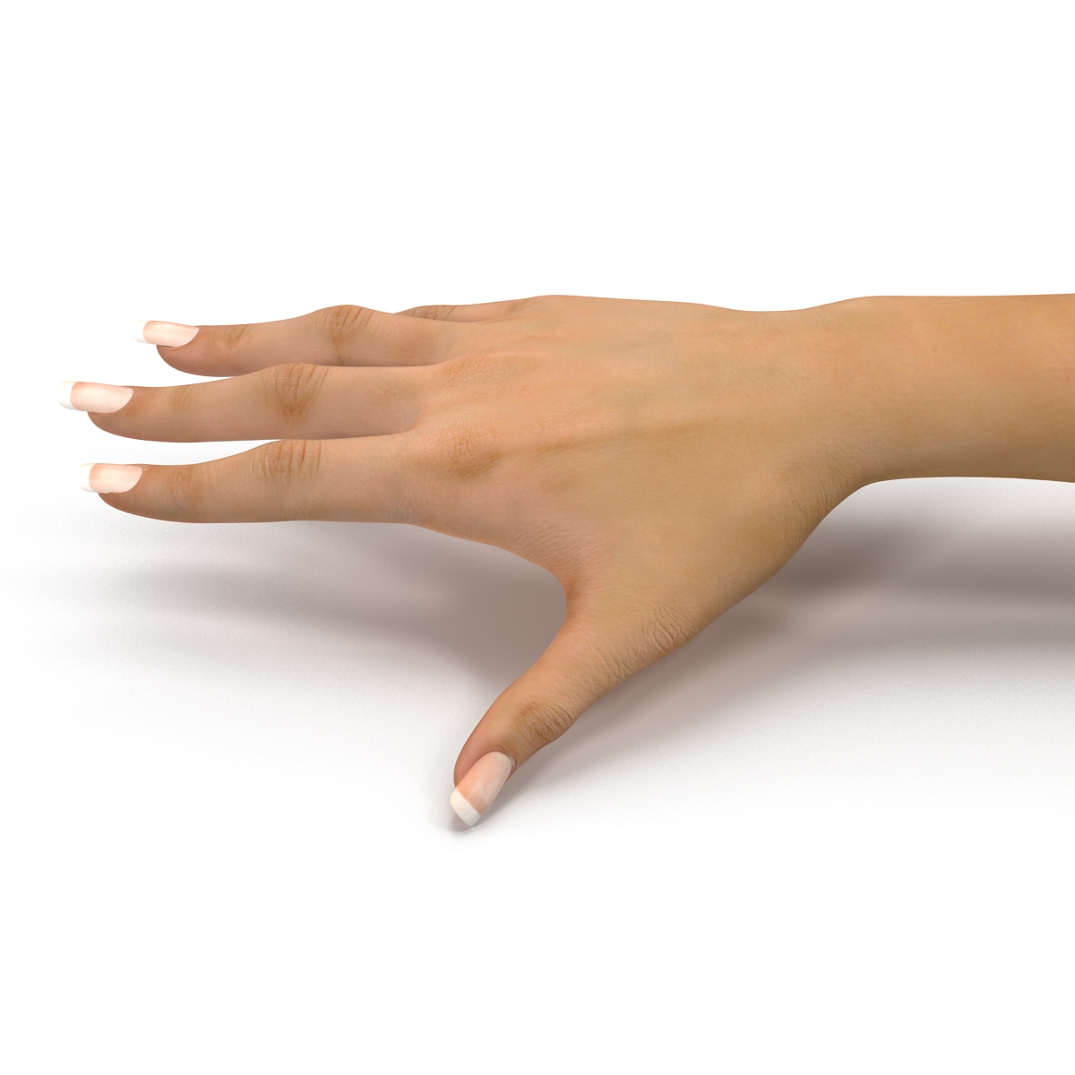 3D Female Hand