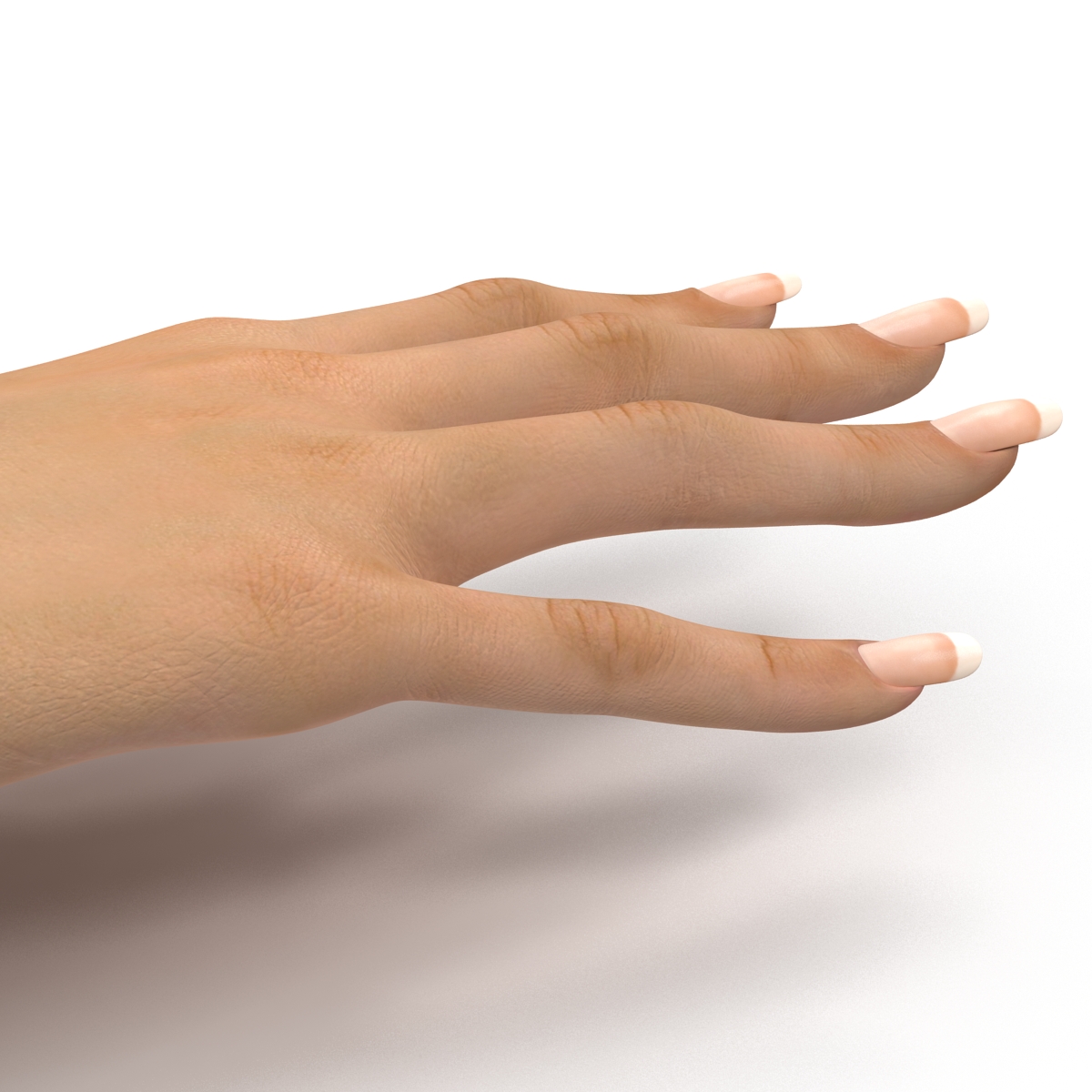 3D Female Hand