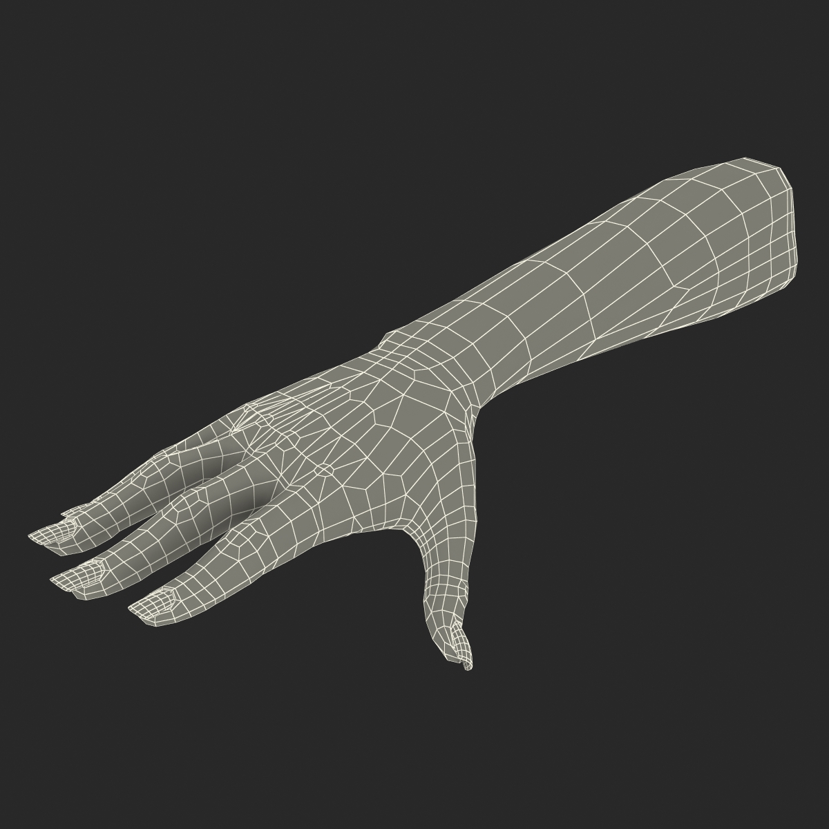 3D Female Hand