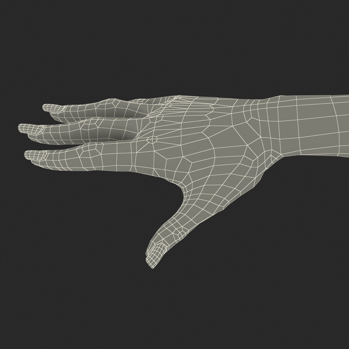 3D Female Hand