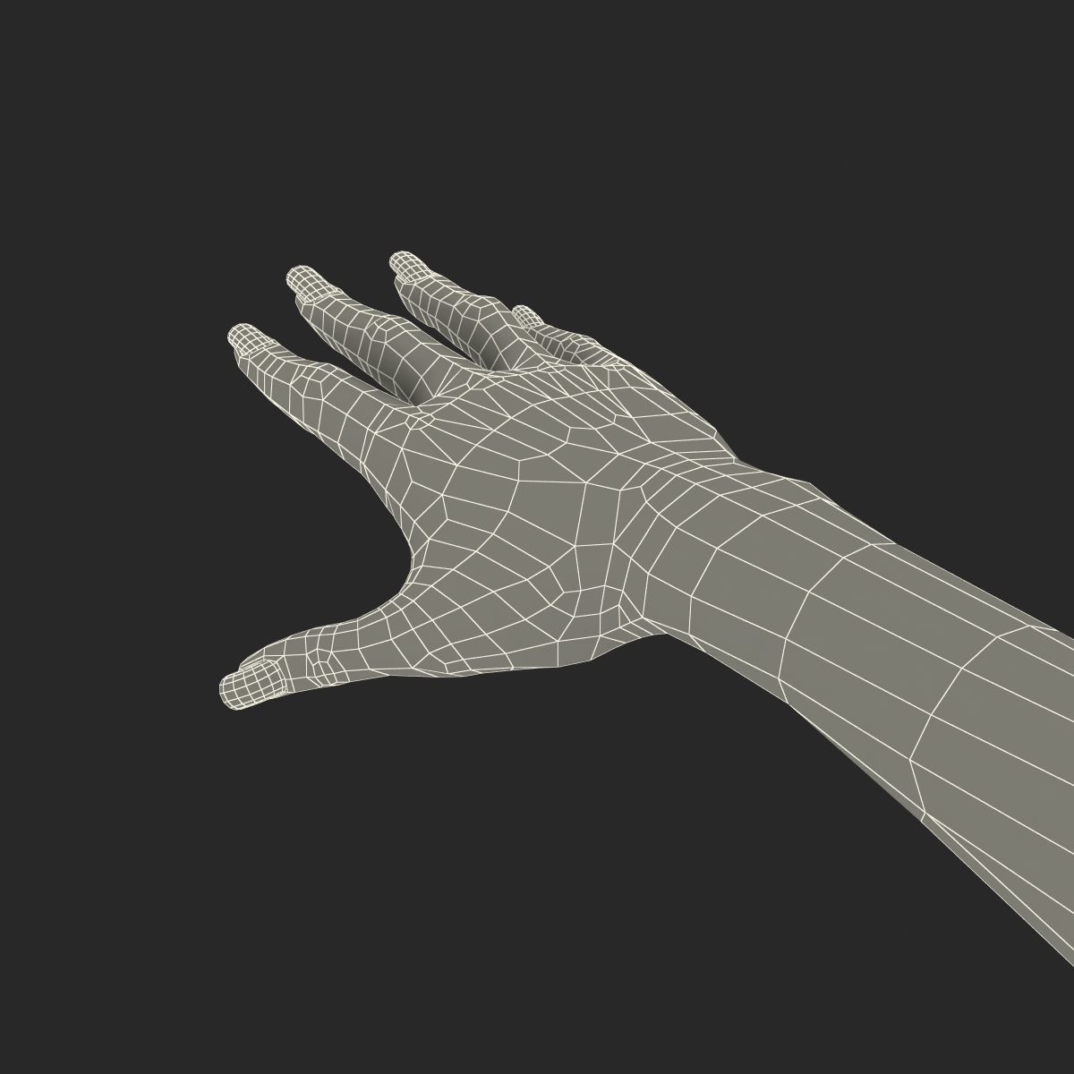 3D Female Hand