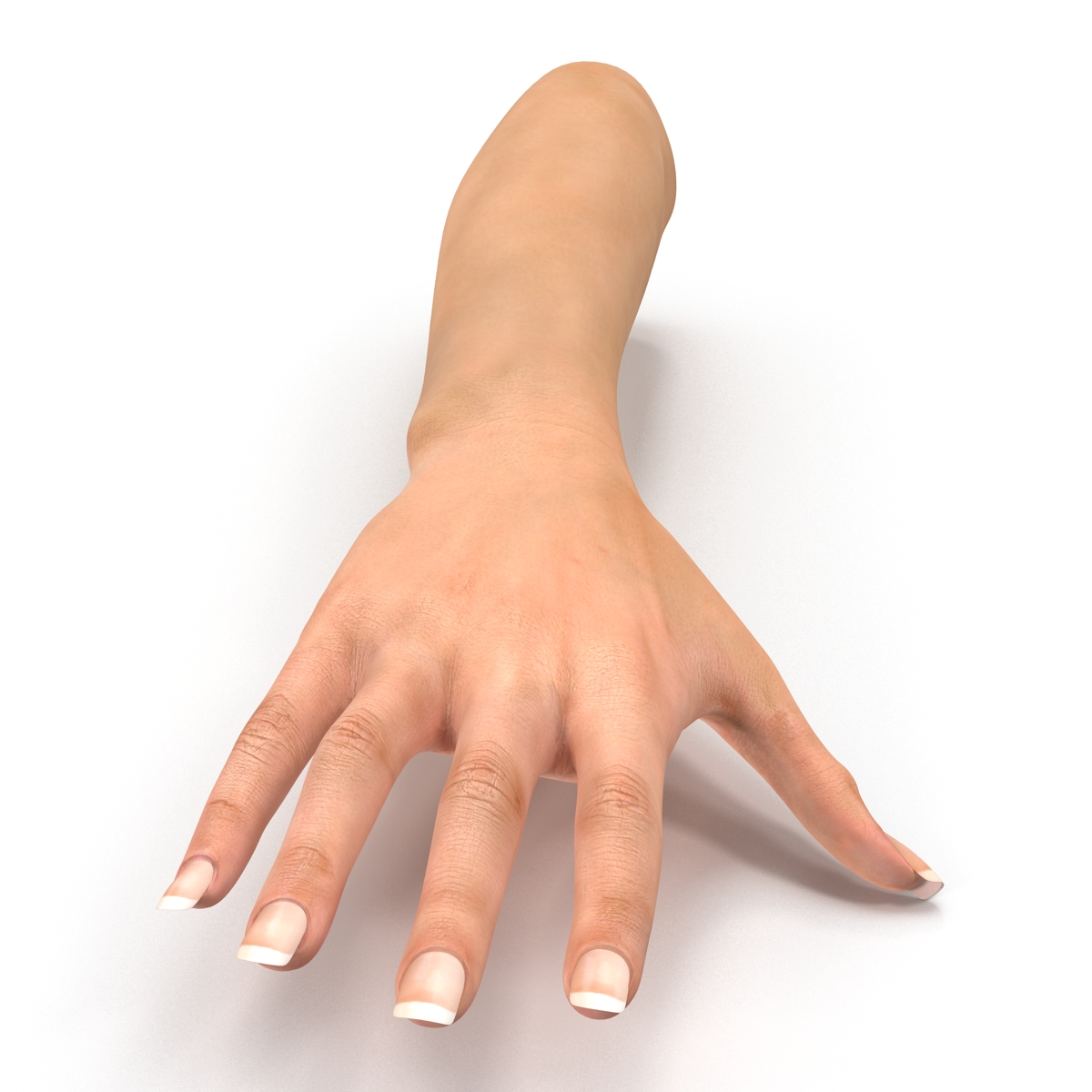 3D Female Hand 2 model