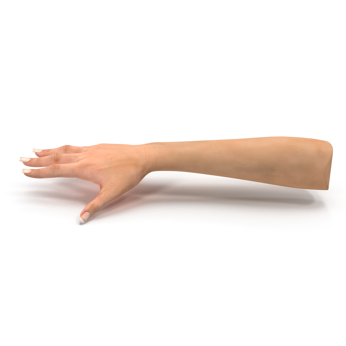 3D Female Hand 2 model