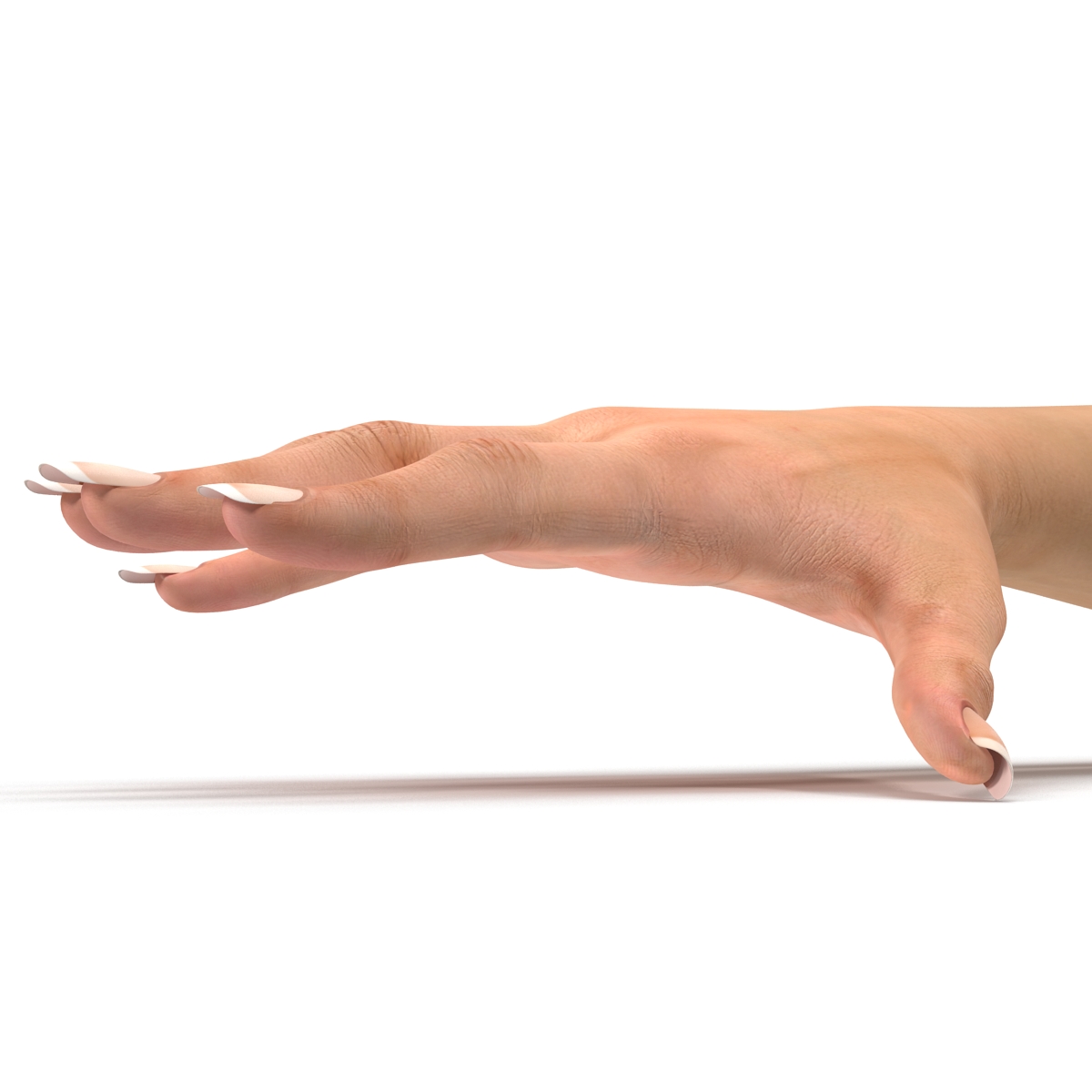 3D Female Hand 2 model