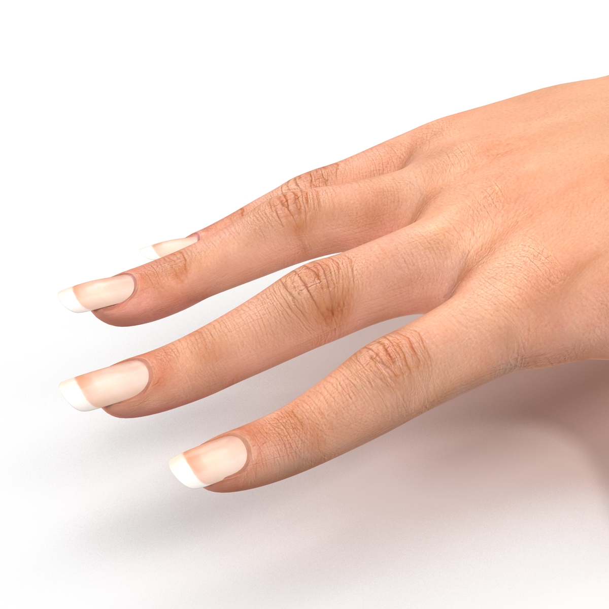 3D Female Hand 2 model