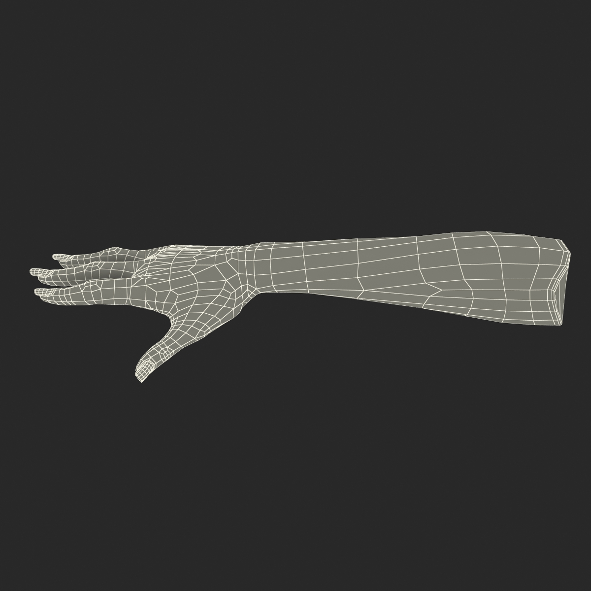 3D Female Hand 2 model