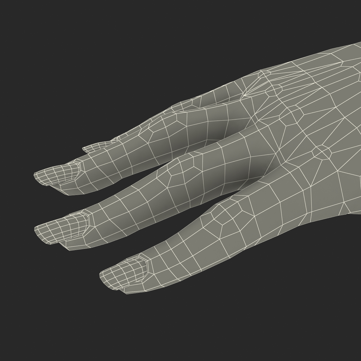 3D Female Hand 2 model