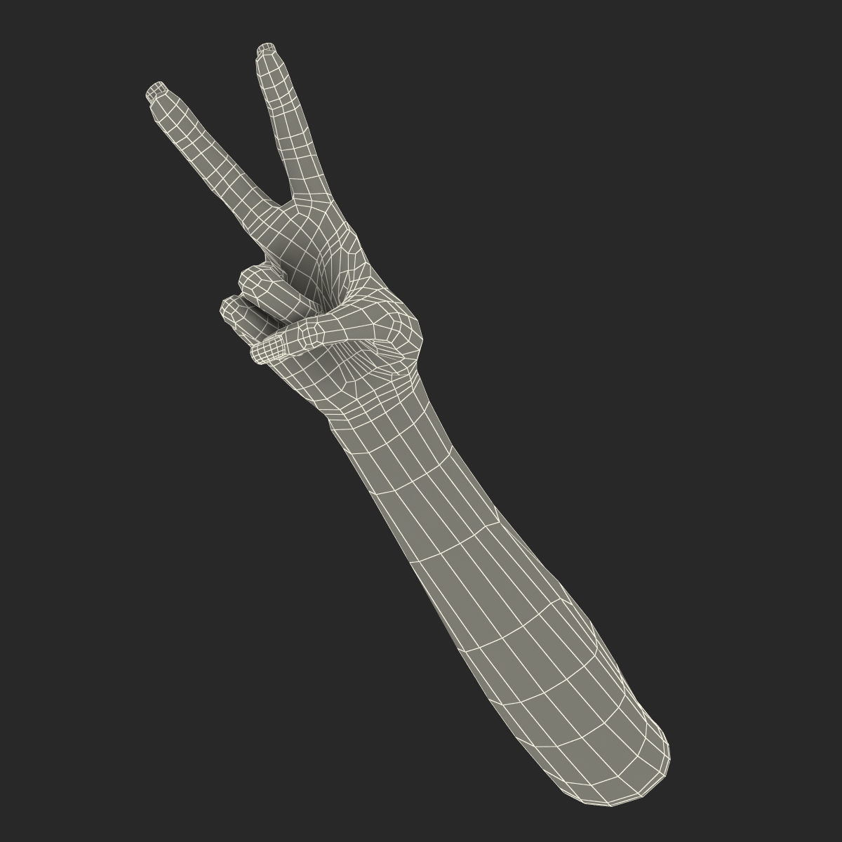 3D model Female Hand 3 Pose 2