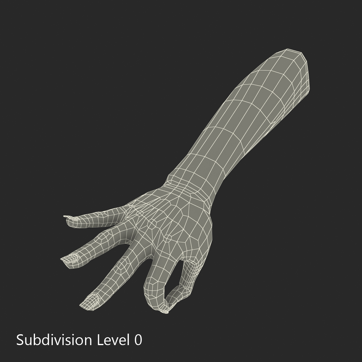 3D model Female Hand 3 Pose 4